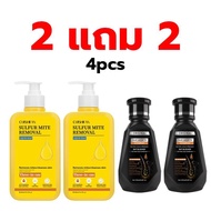 【ซื้อ 2 แถม 2】（COD)แชมพู DHT แชมพูสระผม เ ซ ร ั ่ ม ป ล ู ก ผ ม ควบคุมความมันและรังแค ช่วยให้ผมยาว+ส