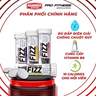 Endurolytes Fizz Hammer Nutrition anti-mouse electrolyte effervescent tablets - Provides comprehensi
