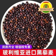 Quinoa hitam, beras quinoa import, quinoa hitam Bolivia 1000g, bijirin besar tanpa saponin.