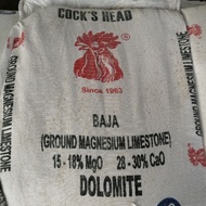 Dolomite  50kg Ground Magnesium Limestone High Quality