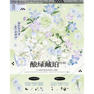Washi Tape - Glacier Museum : Brewing Green, Concealing Amber - Void Green / Elegant