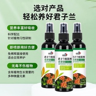 Clivia Arrow Fertilizer Clivia Nutrient Solution Arrow Promoter Rooting Flowering Water Preservation
