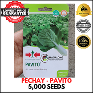 EAST-WEST SEEDS - PECHAY SEEDS - PAVITO 5,000 Seeds