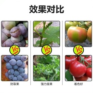 Granular Boron Citrus Fruit Tree Corn Wheat Soy Vegetables Agricultural Base Fertilizer Technology W