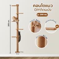 🌈PetParadise✨ คอนโดแมวติดผนัง บ้านแมวDIY สไตล์มินิมอล ที่ลับเล็บแมว เลือกDIYเองได้