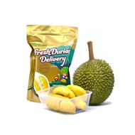 Fresh Durian D24 300 Gram (Pulp/Isi Sahaja)