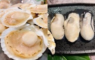 【玥沐嚴選 日本青森帆立貝+韓國去殼牡蠣大顆規格】超鮮貝類組