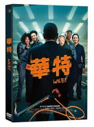 台聖出品 – 華特 DVD – 伊薩卡薩瓦度古、阿爾班伊凡諾夫、茱迪絲艾爾贊因 主演 – 全新正版