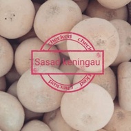 Ragi sasad tapai pahit manis keningau sabah