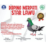 Doping doro or pigeon star Lawu