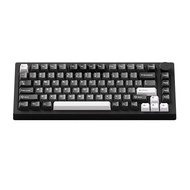 Unlocked Keycap (un taped) - SA - Cherry - 2Shot - Fullsize 98% 75% TKL 60% X98 Pro - Monsgeek M1W -