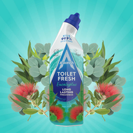 Astonish Toilet Fresh Gel Eucalyptus 750ml ,Astonish 尤加利馬桶清新啫 750ml (滴露消最佳替代品)