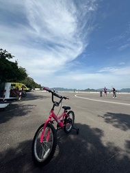 兒童單車 18寸pony