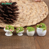AN.MART 2pcs Dollhouse Furniture 1:12 Accessories Mini Green Plant Bonsai Flower Pots MY