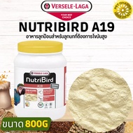 NutriBird A19 High Fat Baby Food Quality Products (800g Jar)