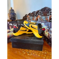 Nike Kobe 5 Bruce Lee