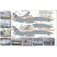 Twobobs 48-031 decal 1/48  for F-14D Tomcat