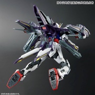 【hot sale】 Premium Bandai Gundam MG 1/100 Lightning Striker For Aile Strike Gundam Ver.RM(Weapon On
