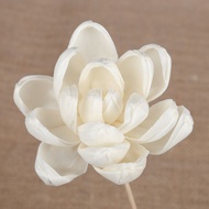 DFYER56 Dyeable Punchable Handmade Flameless Fragrance No Fire Living Room Expand Fragrance Flower Diffuser Sticks Aromatherapy Flower Simulation Water Flower Aromatic Incense