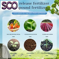 SCO Home Gardening Universal Slow-Release Tablet Organic-Fertilizer Plant Growth Nutrition Tablets