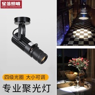Surface Mounted Ceiling Spotlight led Spotlight Bar Calligraphy Painting Museum Dining Table Atmosph
