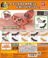 [扭蛋] 掌上可動大圖鑑系列 細皮瘤尾守宮&豹紋守宮
