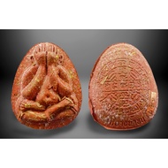 必打佛 3（粉牌） Phra Pidta 龙婆多 必打 #泰国佛牌 #龙普多 #Thai Amulet #LP Toh #Wat Tham Singto Thong #BE2566