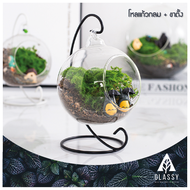 โหลแก้วสวยๆ พร้อมส่งจากไทย Terrarium แจกันแขวน โหลกลม+ขาตั้ง ทำสวนขวด สวนจิ๋ว DIY อุปกรณ์ตกแต่งสวน