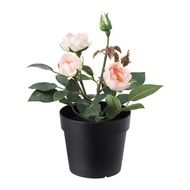 🌷 IKEA FEJKA Artificial Flowers (Bunga Tiruan) - Rose Pink