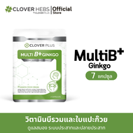 Clover Plus Multi B+ Ginkgo มัลติบี พลัส จิงโกะ อาหารเสริม สารสกัด ใบแปะก๊วย วิตามินบี1 วิตามินบี 2 วิตามินบี6 วิตามินบี12 1 ซอง 7 แคปซูล