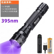 Alonefire | High Power 395nm UV Curing Torch 365nm