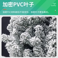 Christmas Tree Christmas Tree Christmas Tree Festival Holiday Cedar Decoration Pine Tree Decoration 