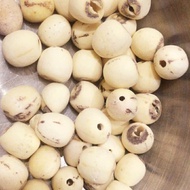 Su Premium Lotus Seed 100gr Lian zhi Lien zhe Ci Zi Lotus Seed