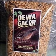 DOVE FEED FOR THE GOD, GACOR DOVE FEED, BAD DOVE FEED, DOVE FEED FOR GACOR MANGGUNG