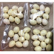 Chicken egg and duck egg toys