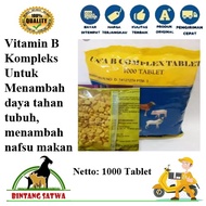 Vitamin B COMPLEX TABLET 1000 GRAINS