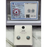 HIJAU Mossanite Diamond Earrings Blue-Green @0,5ct total 1ct S925 Silver fastener