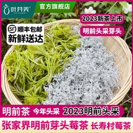 95% positive review rate Zhangjiajie Mingqian Batou berry te/95% Praise rate Zhangjiajie Mingqian Ba