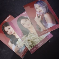 Photopack JKT48 Flowerful (Feni, Anin, Indah)