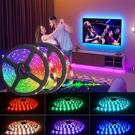 LED/RGB Strip light 5050 Waterproof Flexible RGB 坡 LED light led Lamp Outdoor String 30LED/M