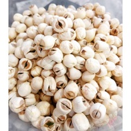 Premium Dried Lotus Seeds/Lotus Seed/Lien ZI/LIAN ZI Import