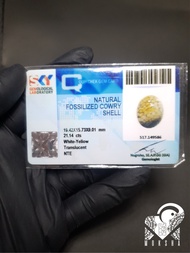 Batu Sisik Ular Jhipen ( Madura ) Sudah bersertifikat Skylab