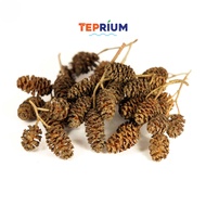 Combo Dried Alder Pine Cones, Shrimp Aquarium Decoration, Aquarium Stress Relief, Disinfectant / Tep