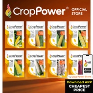 Benih Jagung Corn Seed 玉米种子 CROP POWER SC 9001 SS 232 SS 932 SS 632 SCP 1311 WX 100 WX 200 WX 300 SC