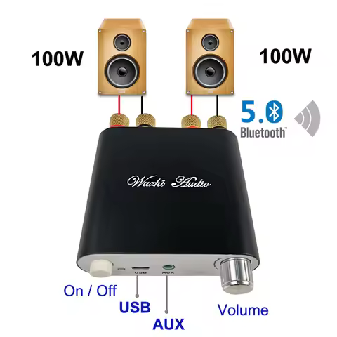 2*100W Bluetooth 5.0 TPA3116D2 Digital Power Audio Amplifier Board TPA3116D2 Stereo HiFi USB Amplifi