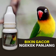 Vitamin Burung Lovebird Premium Gacor Konslet Ngekek Panjang