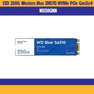 250gb M2 2280 SATA SA510 Western Digital WDS250G3B0B SSD