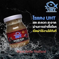 อาหารปลา ไรแดง UHT สำหรับ ปลาหางนกยูง ปลากัด ปลาสวยงาม คุณภาพดี โปรตีนสูง เปิดฝาใช้งานได้ทันที ! ฟรี