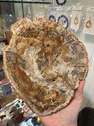 樹化玉1150g