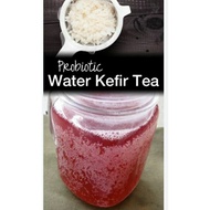 LIMITED Water Kefir Rosella 500ml/probiotics/live Kultur/less Sugar/da